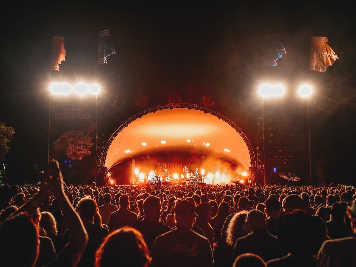 crowd of people enjoying live music concert