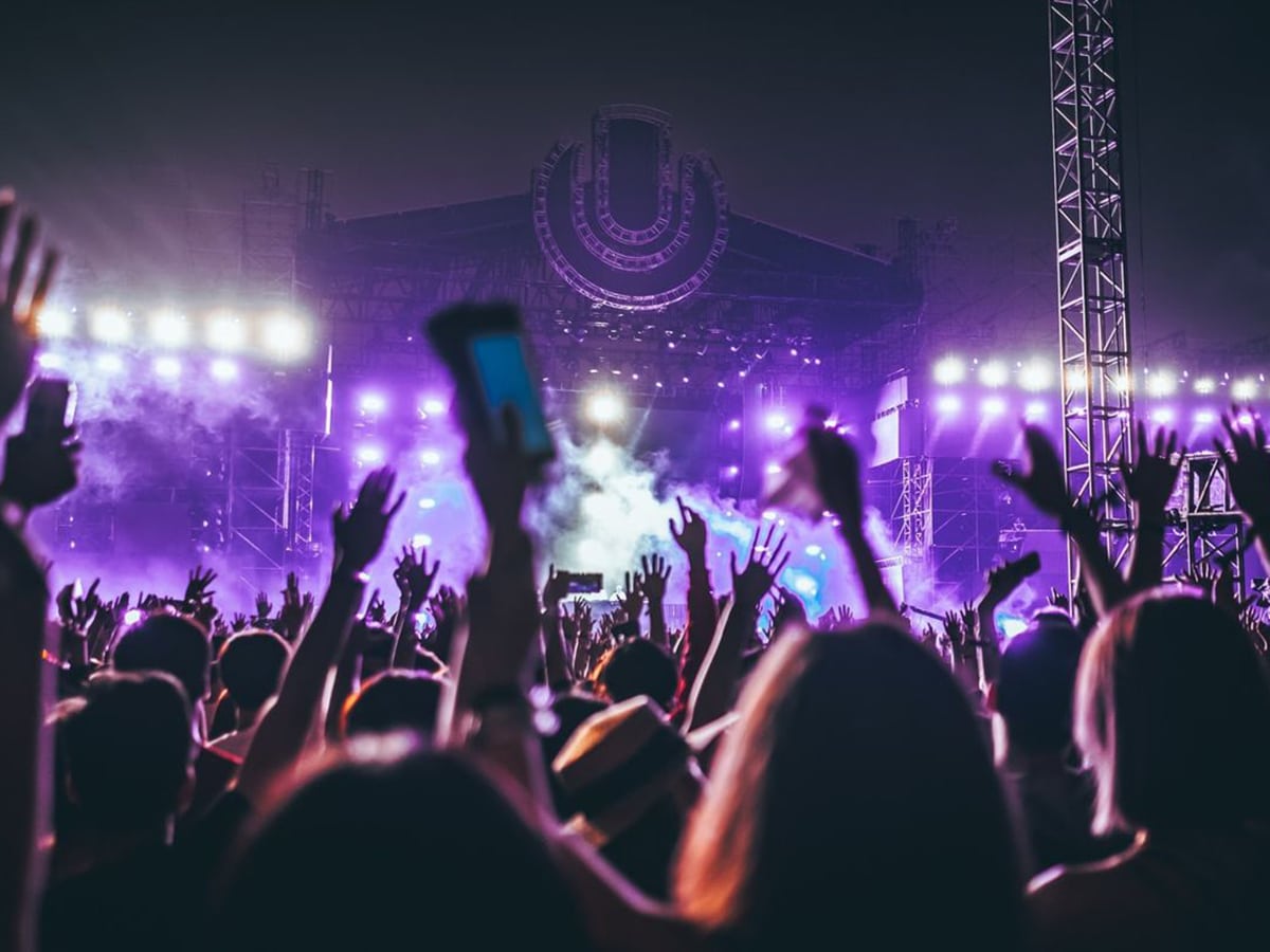 crowd of people enjoying concert