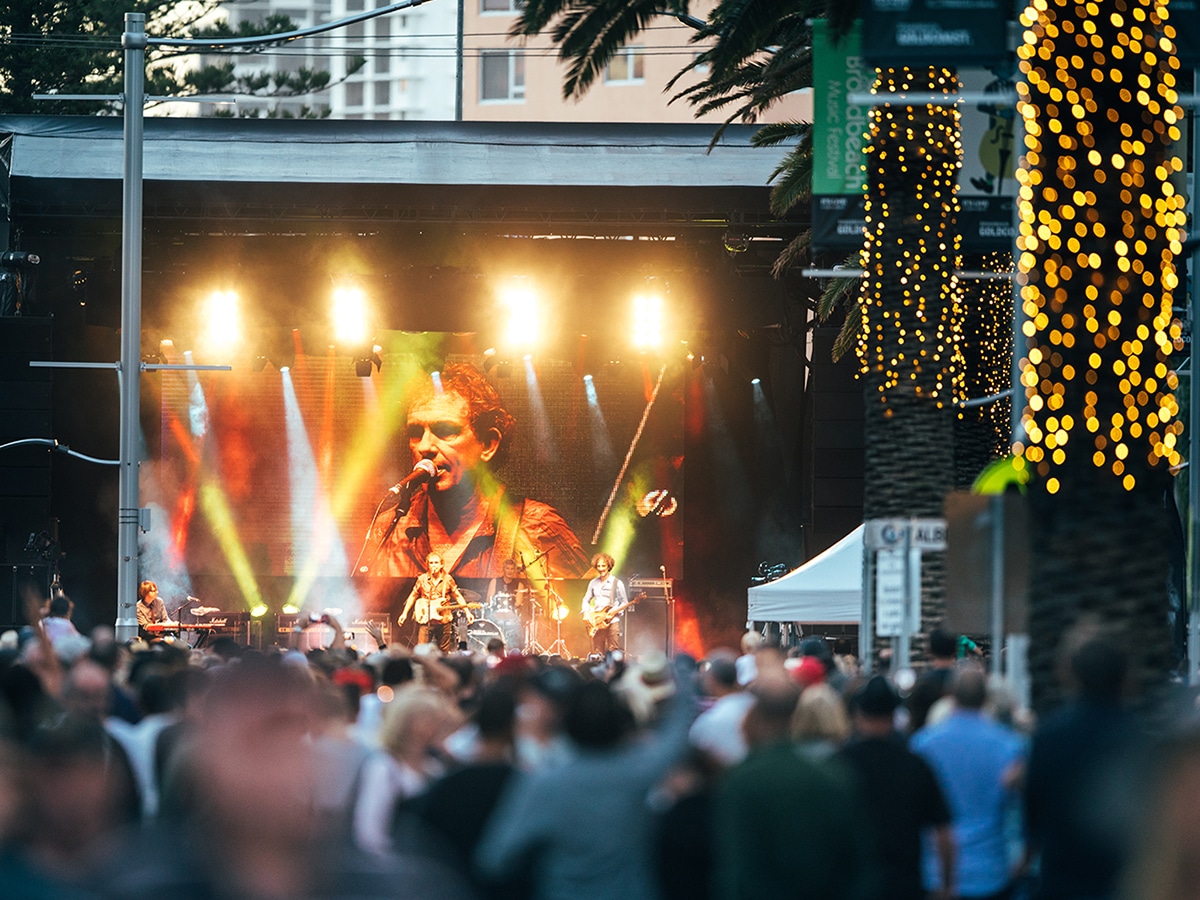 crowd of people at live street concert