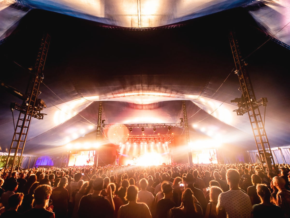 crowd of people at live music concert