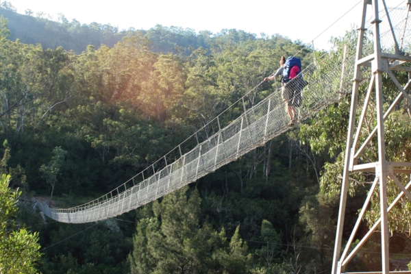 18 Best Blue Mountains Walks and Hikes | Man of Many