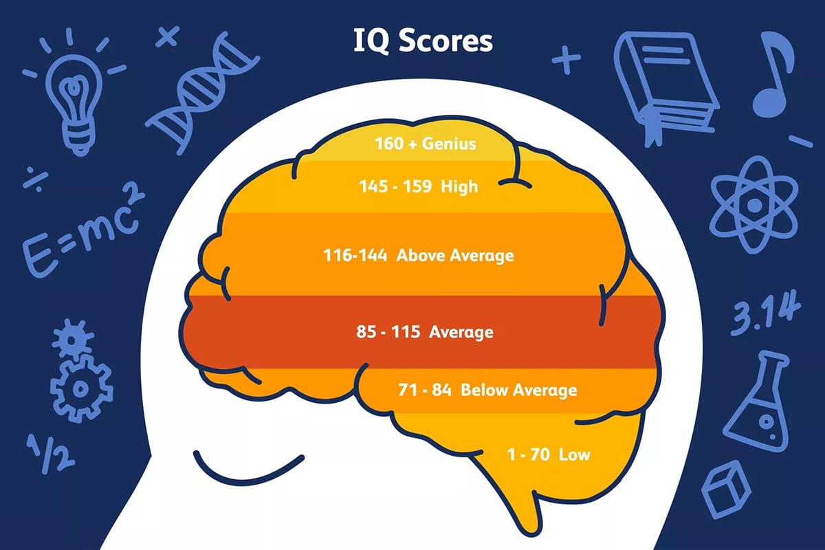 The Average IQ: What It Is and How It's Measured - Brainwonders