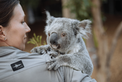 Feel-Good Friday: May 28 - Water for Wildlife