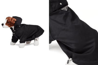 $700 Prada Dog Coat is a Fitting Accessory for a Pack Leader