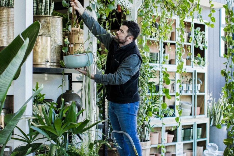21 Best Sydney Plant Nurseries and Stores Man of Many
