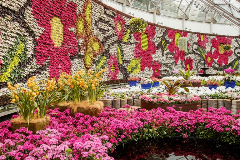 21 Best Sydney Plant Nurseries and Stores Man of Many