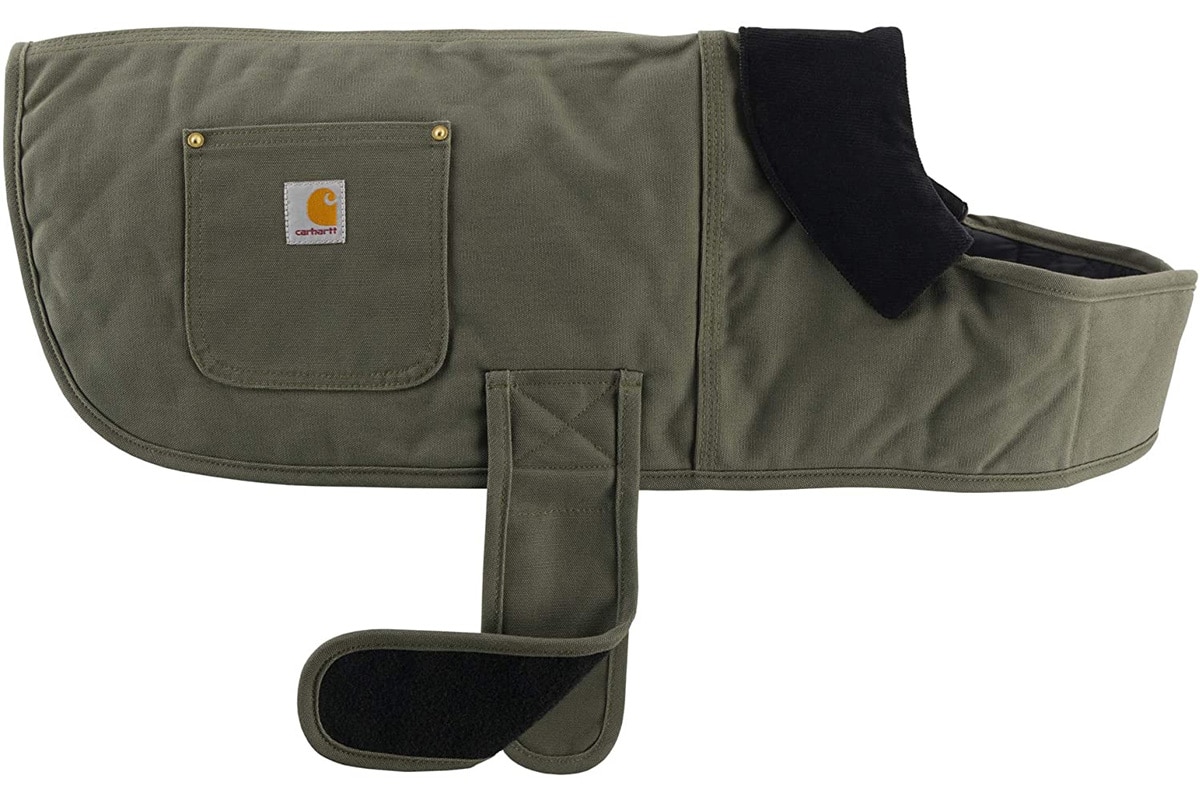 Carhartt chore coat dog