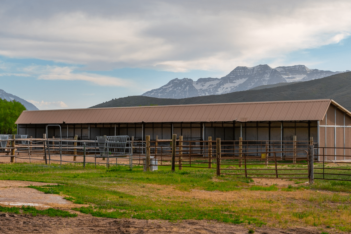 Robert Redford Horse Ranch