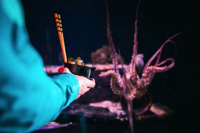 Feel-Good Friday: June 18 – Sushi, Sleepouts and Sea Life