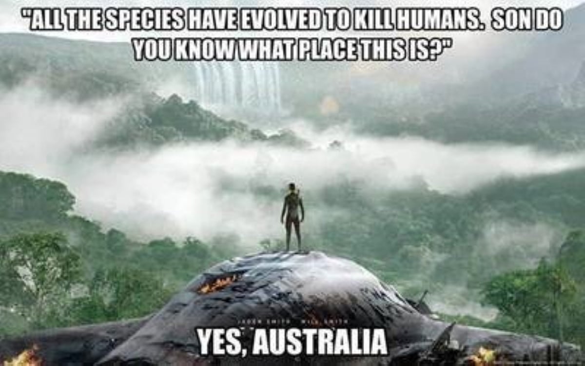 180 Funny Australia Memes That Are True Blue Gems Man Of Many 9156