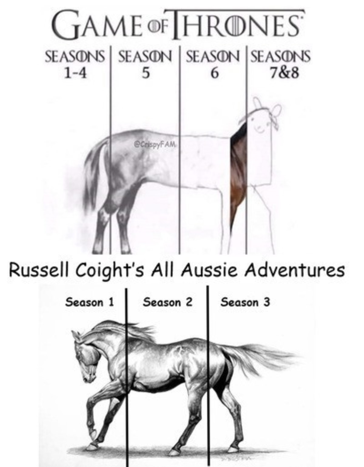 180+ Funny Australia Memes That are True Blue Gems | Man of Many