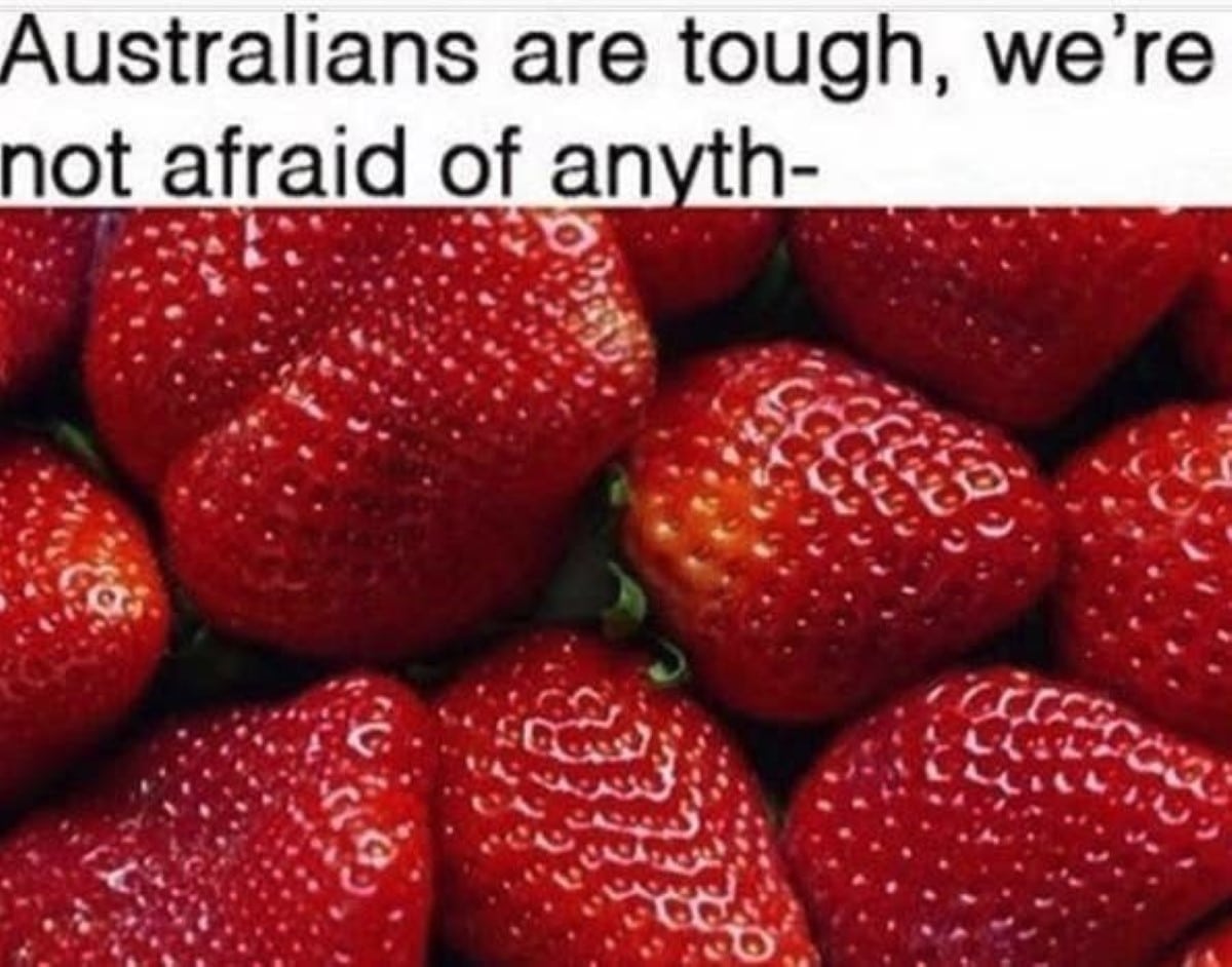 Best australian memes 32 1 1