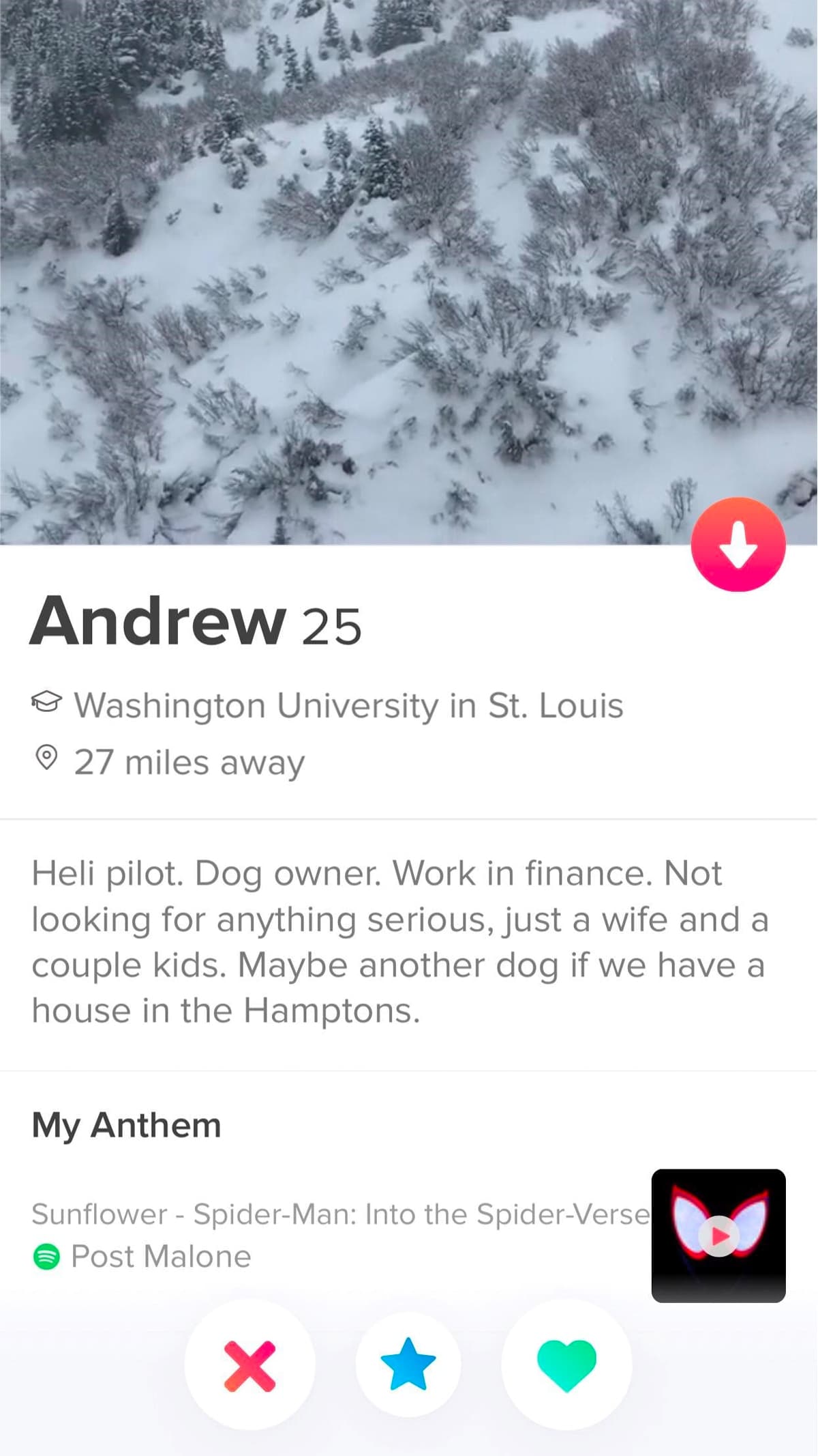 Funny tinder bios about dogs