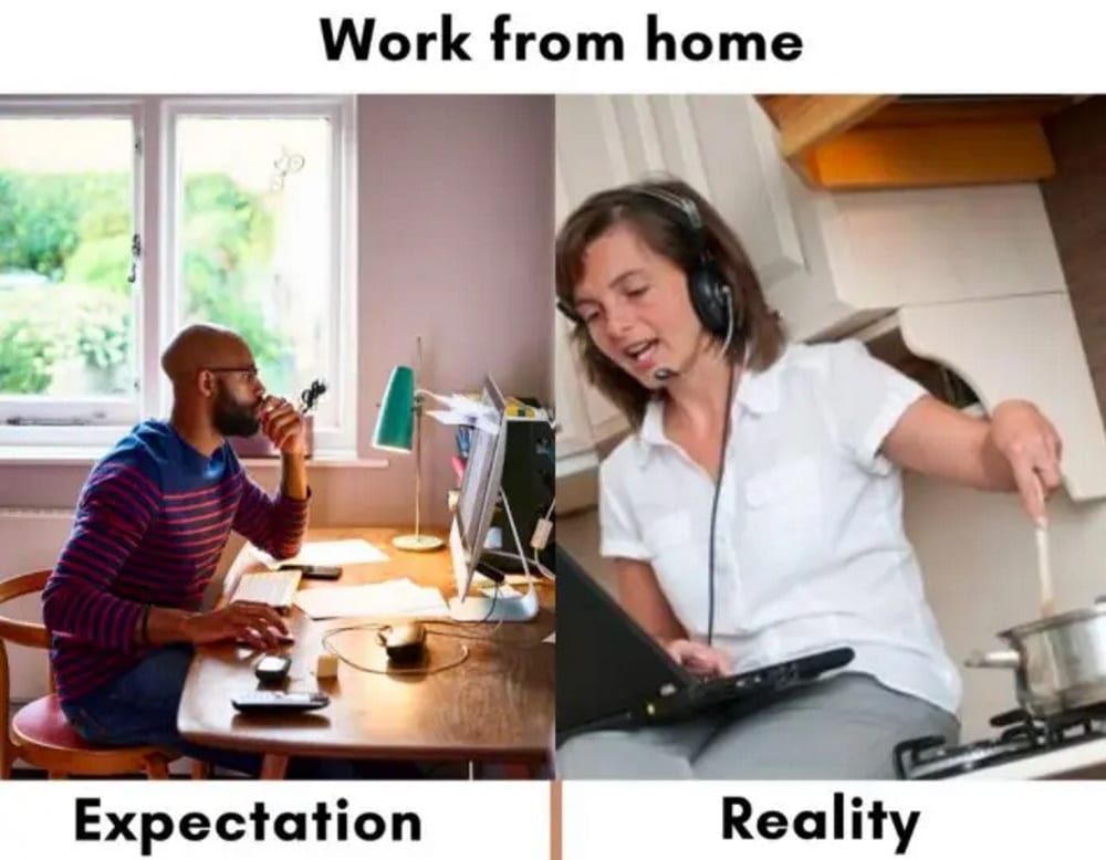 Work from home online funny video