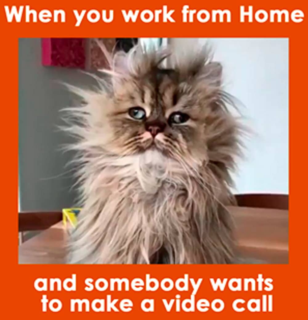 Funny Work From Home Employee Remote Worker Notebook: Funny