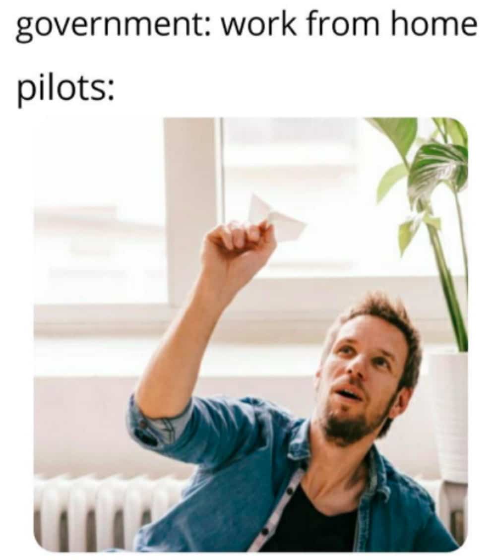 Work from home meme pilot