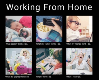 40+ Funny Working From Home Memes (WFH) | Man of Many