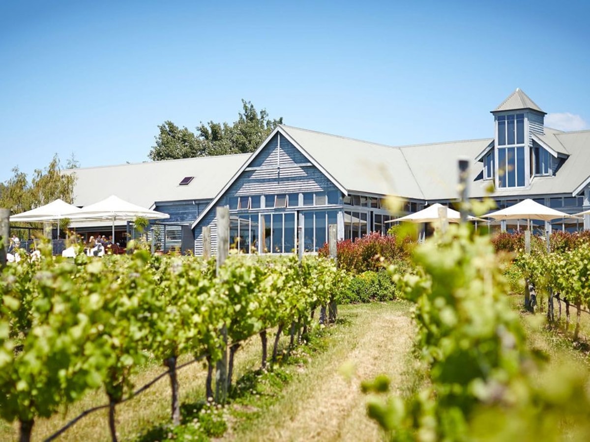 frogmore creek vineyard lookout