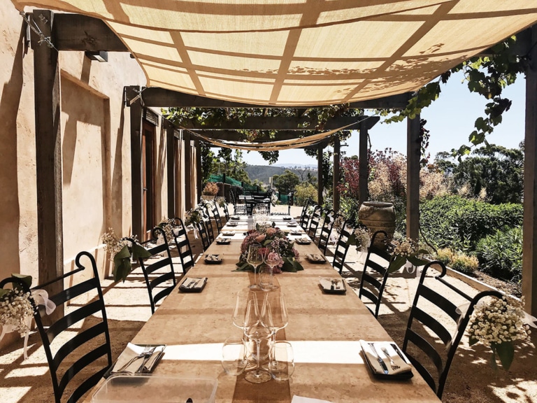 10 Best Hobart Wineries and Vineyards Man of Many