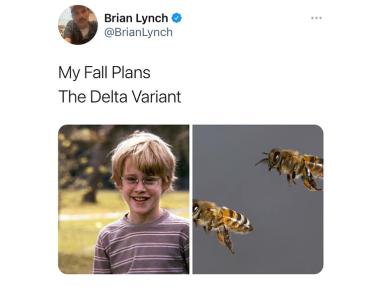 Fall plans