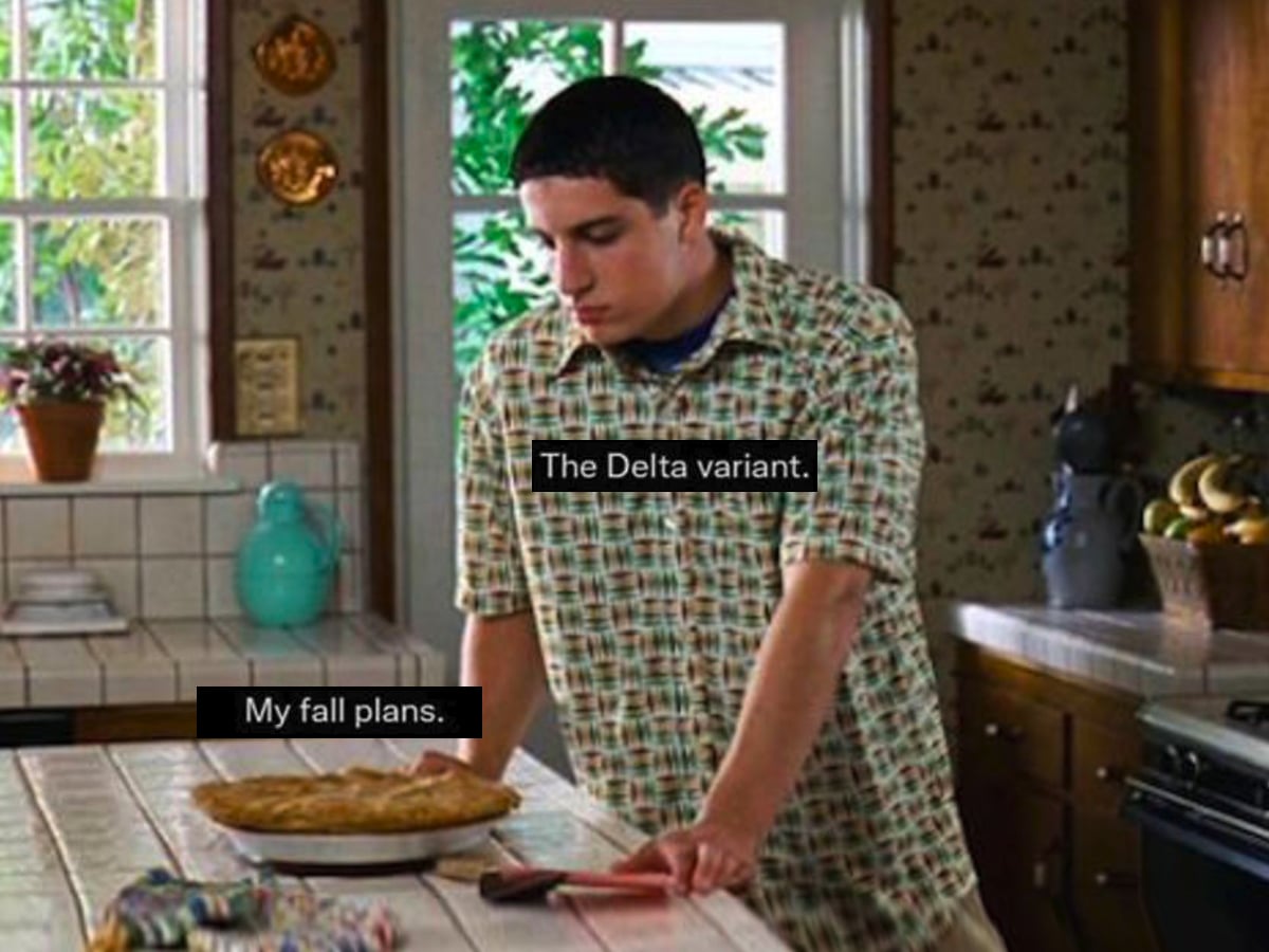 Fall plans delta variant meme 1