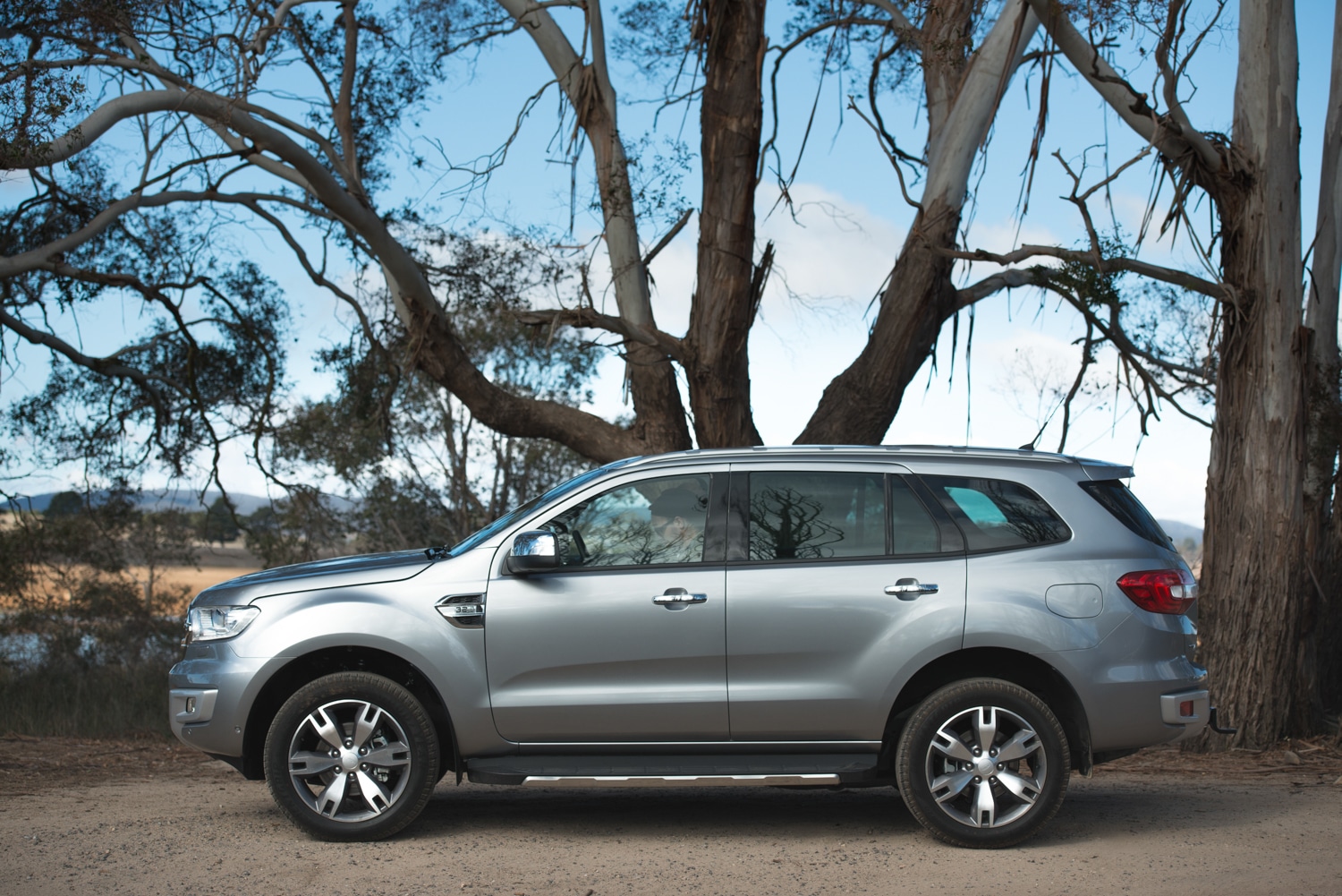 ford everest car under the tree