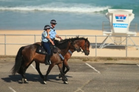 Police horses on bondi