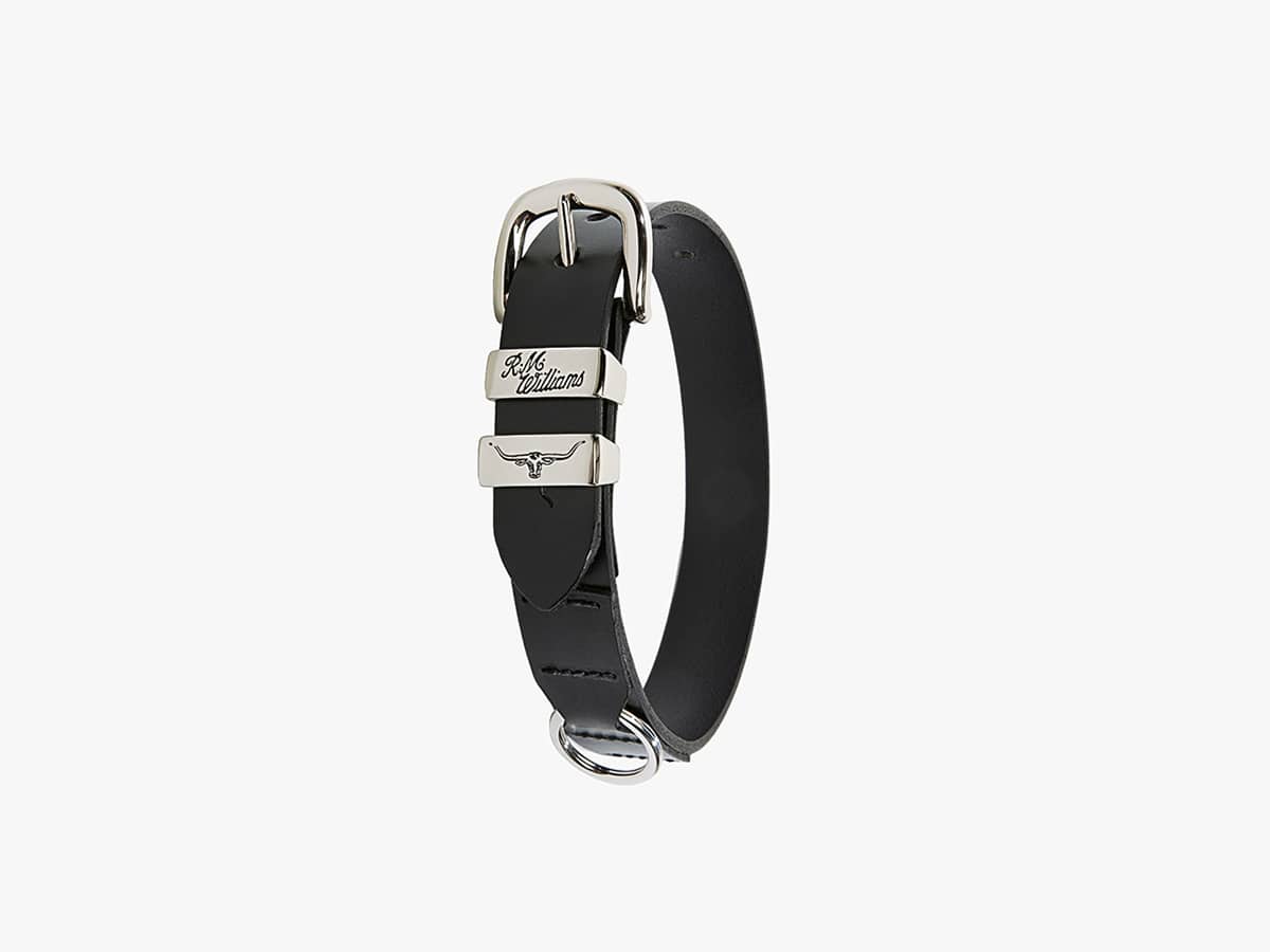 R m williams dog collar 1