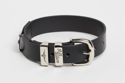 R.M. Williams Dog Collar Fits the Four-Legged Concrete Cowboy