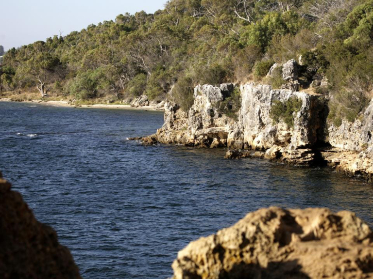 14 Best Perth Fishing Spots to Drop a Line Man of Many