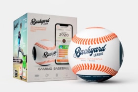 Backyard league gaming baseball