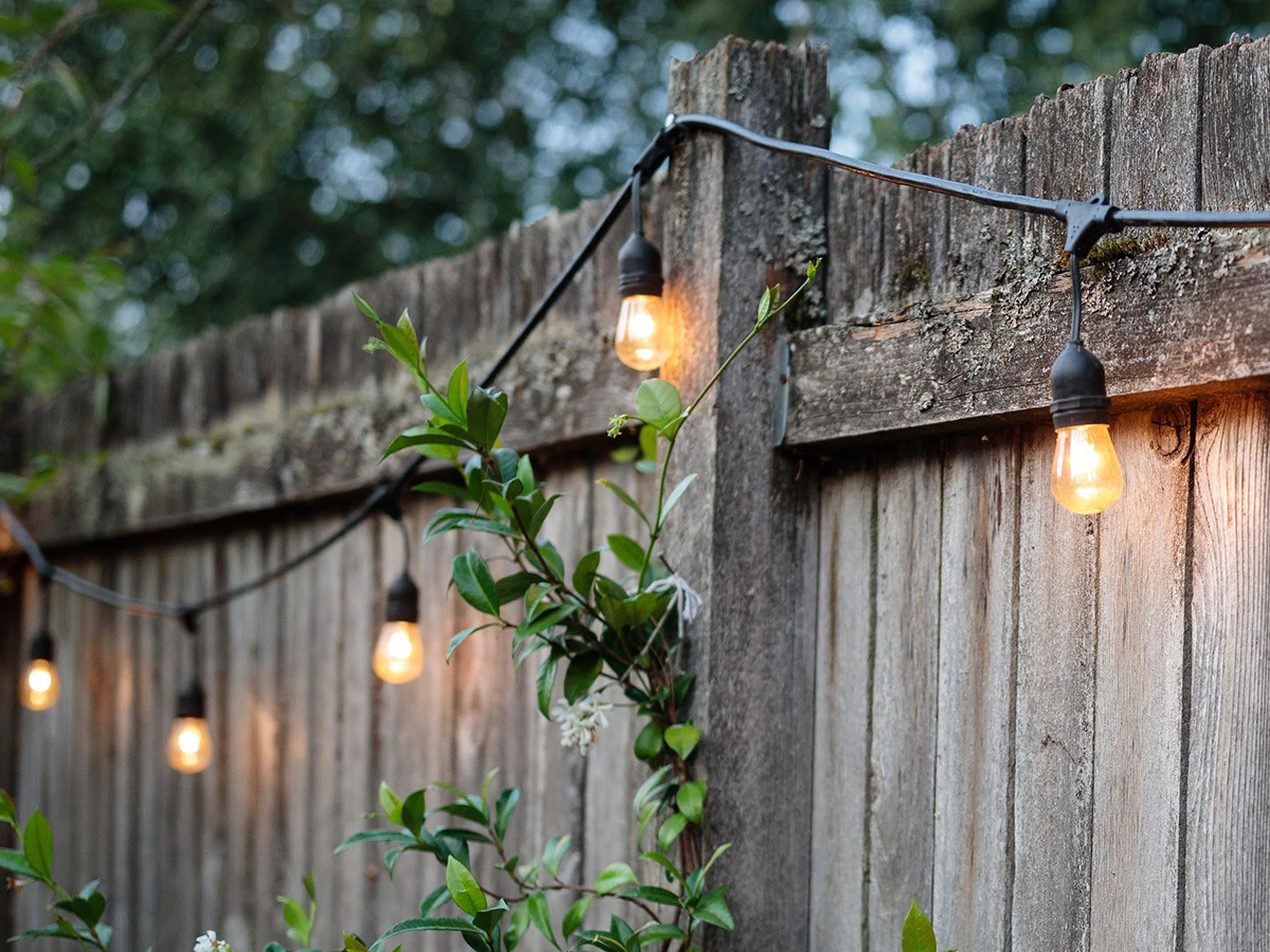 festoon lights on fence