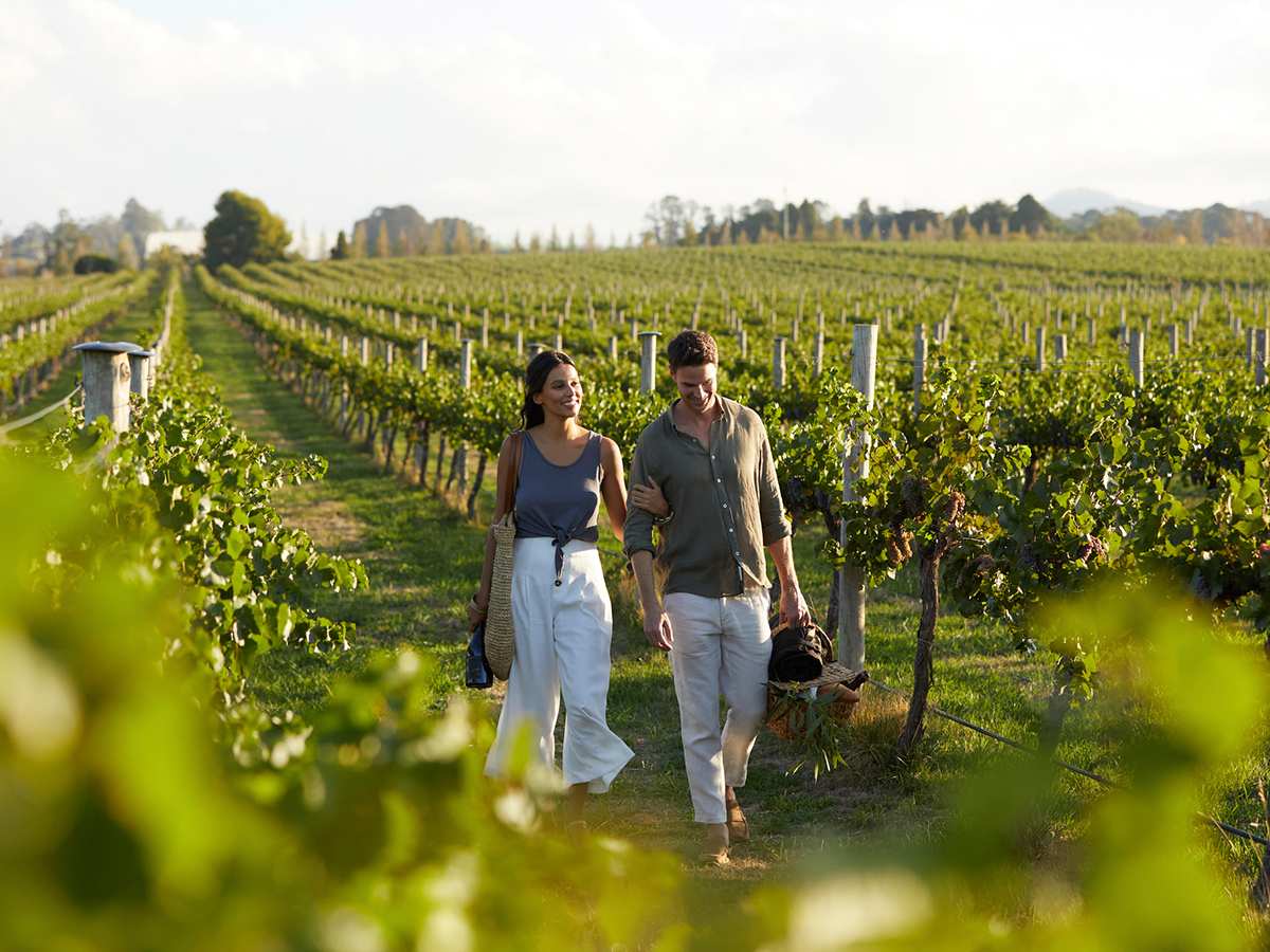 romantic young couple walking through vineyard