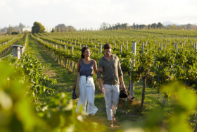 romantic young couple walking through vineyard