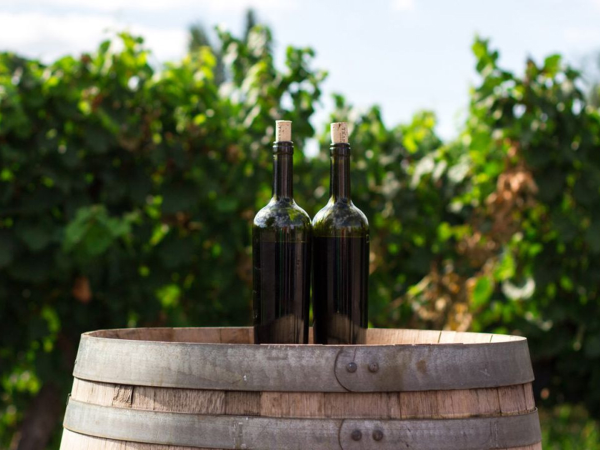 canobolas smith wines bottles on the wooden barrel