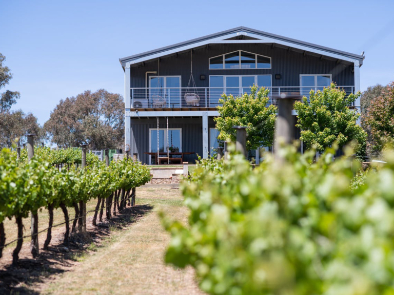 14 Best Wineries and Vineyards in Orange Man of Many