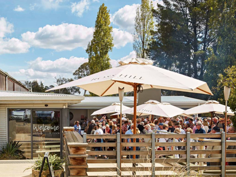 14 Best Wineries and Vineyards in Orange Man of Many