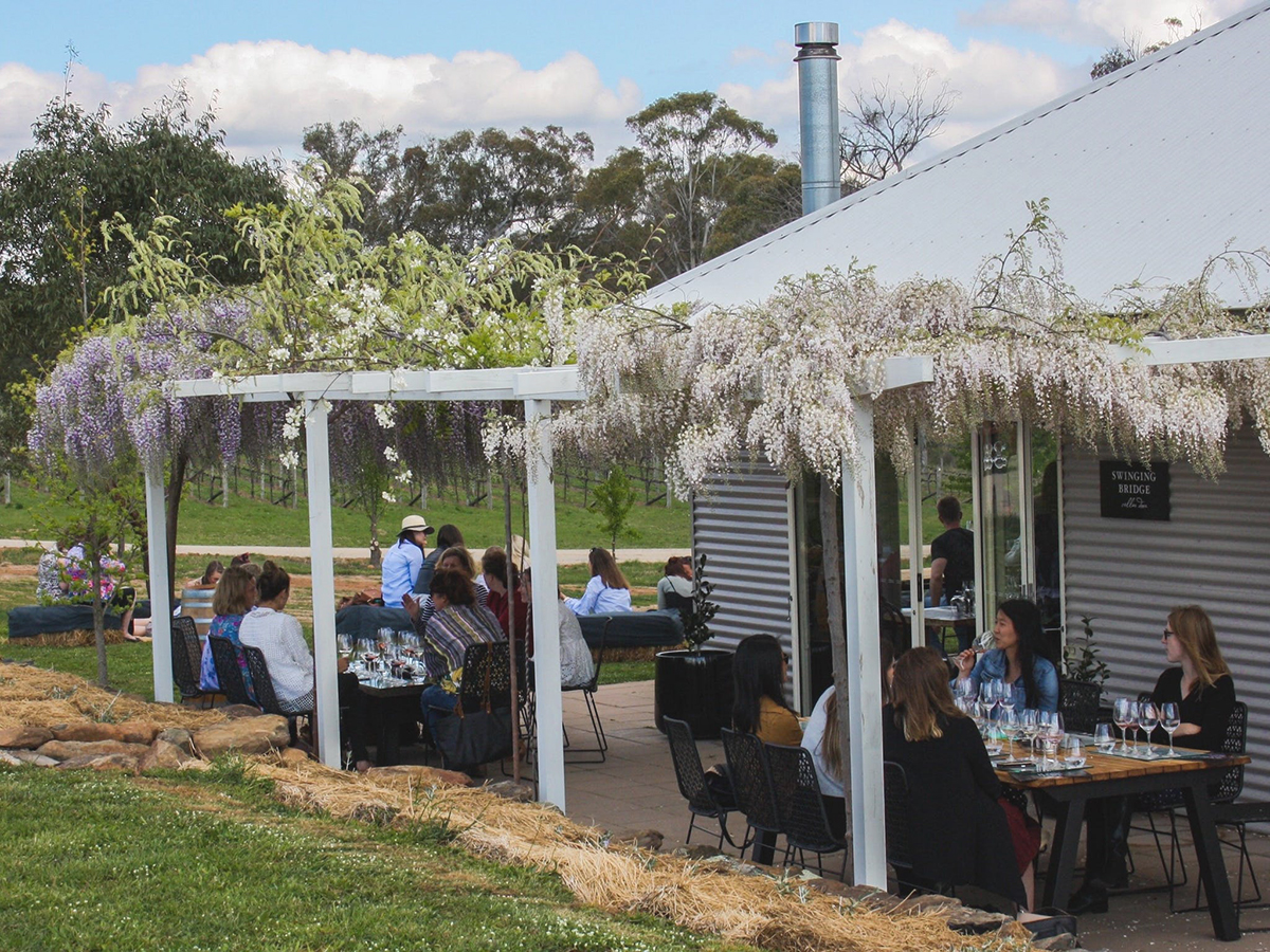 swinging bridge wines terrace