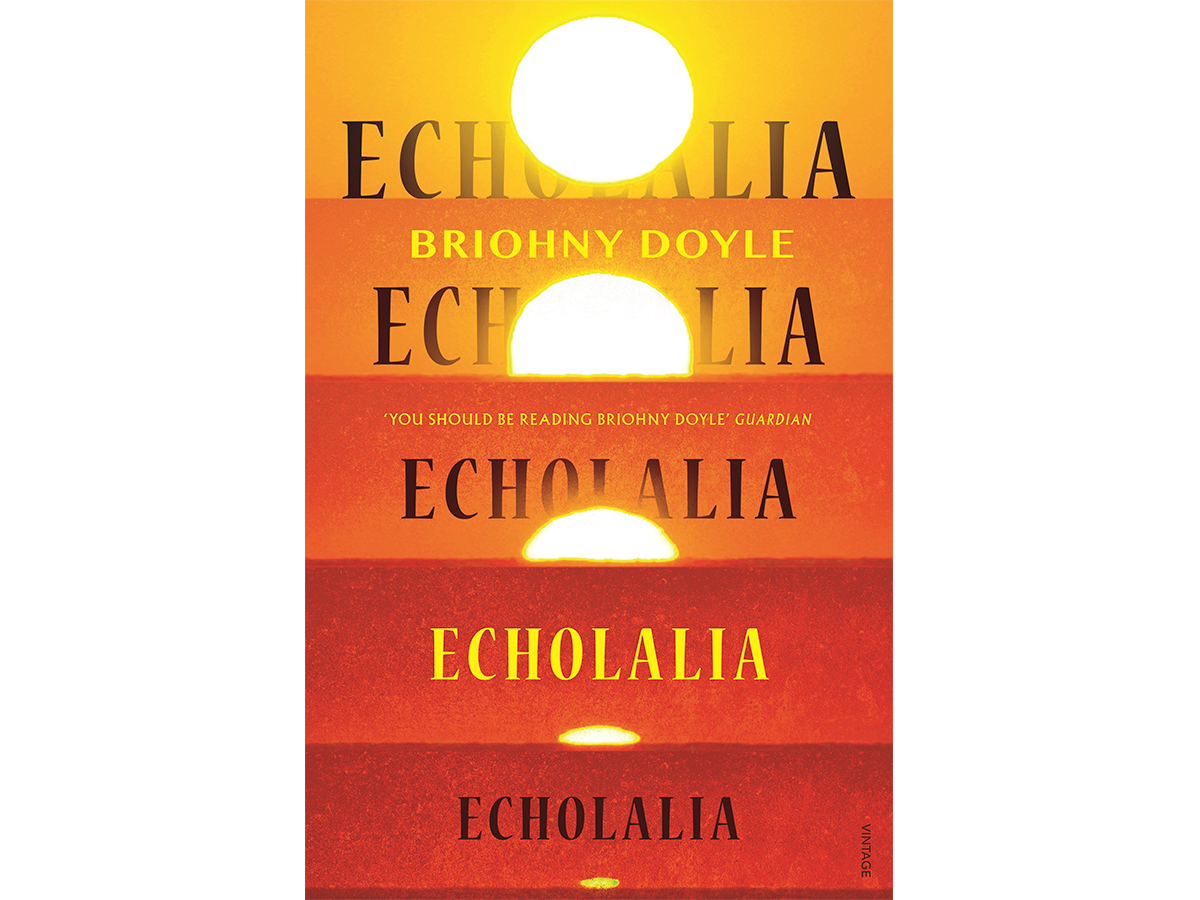 14 echolalia