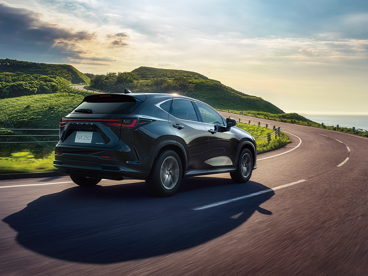 Lexus nx 6