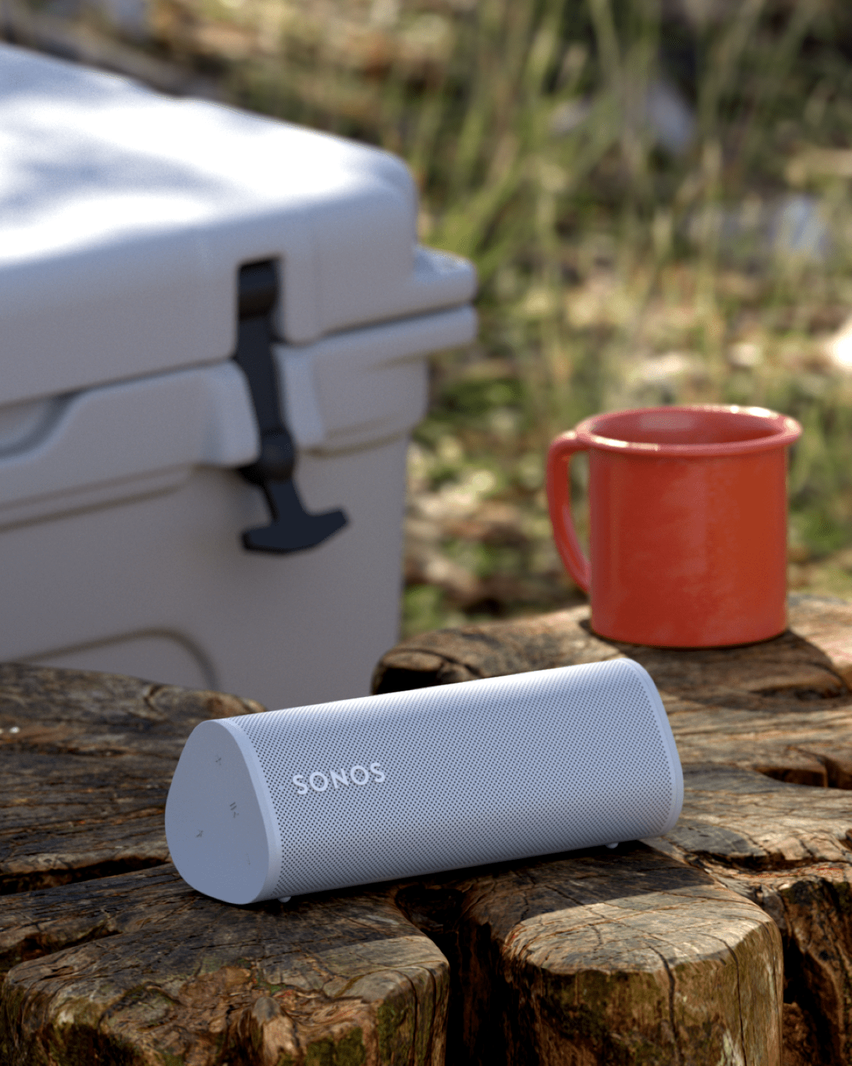 Sonos roam wireless speaker 3