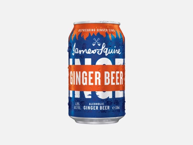 12 Best Alcoholic Ginger Beers for a Spicy Kick Man of Many