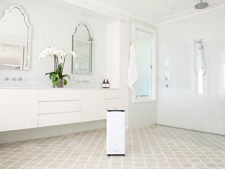 10 Best Dehumidifiers to Beat the Steam Man of Many