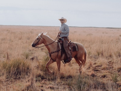 10 Best Places to Go Horse Riding in Sydney