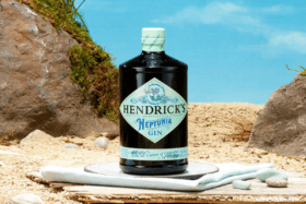 Hendricks neptunia gin feature