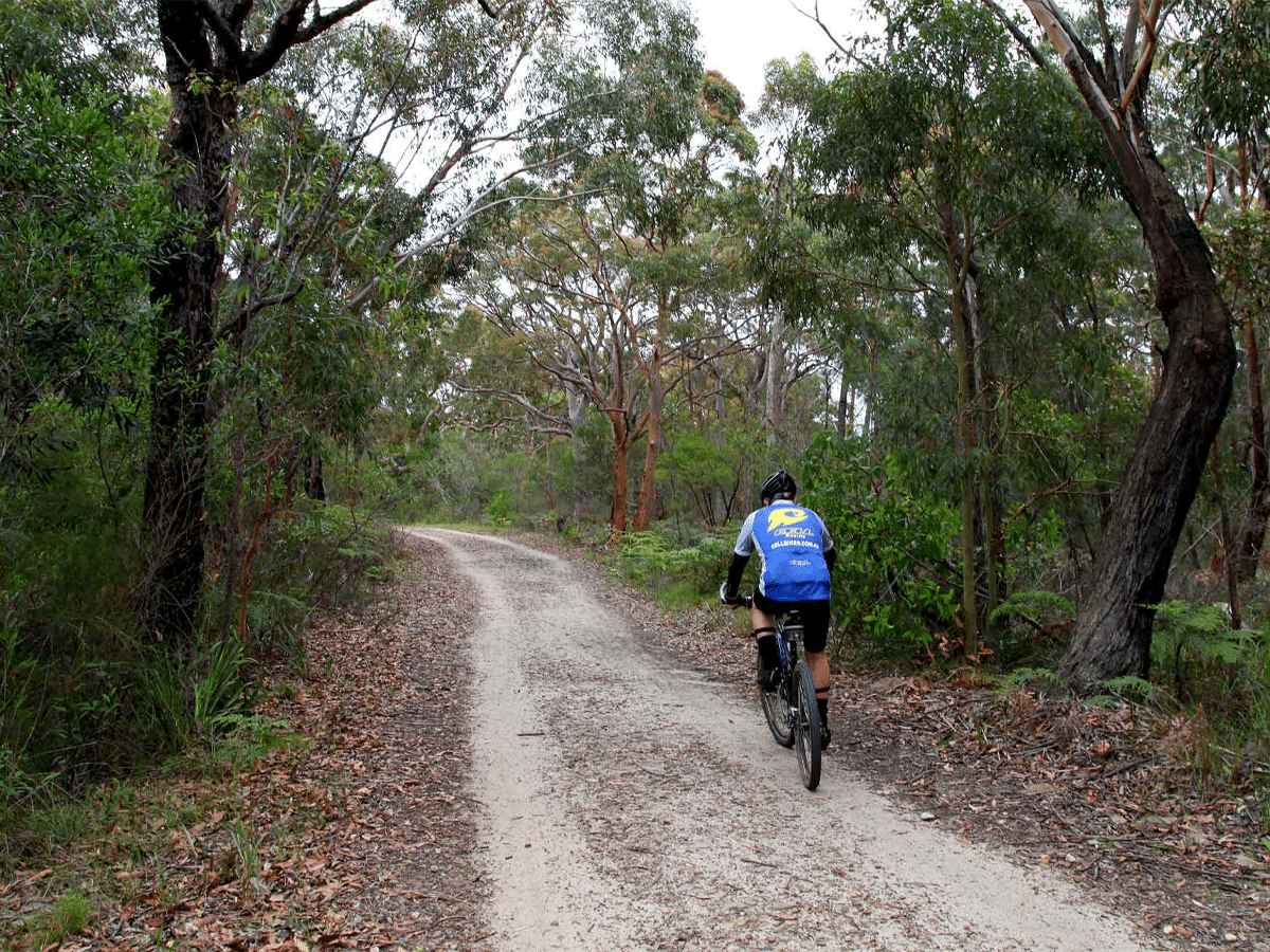 Loftus loop track