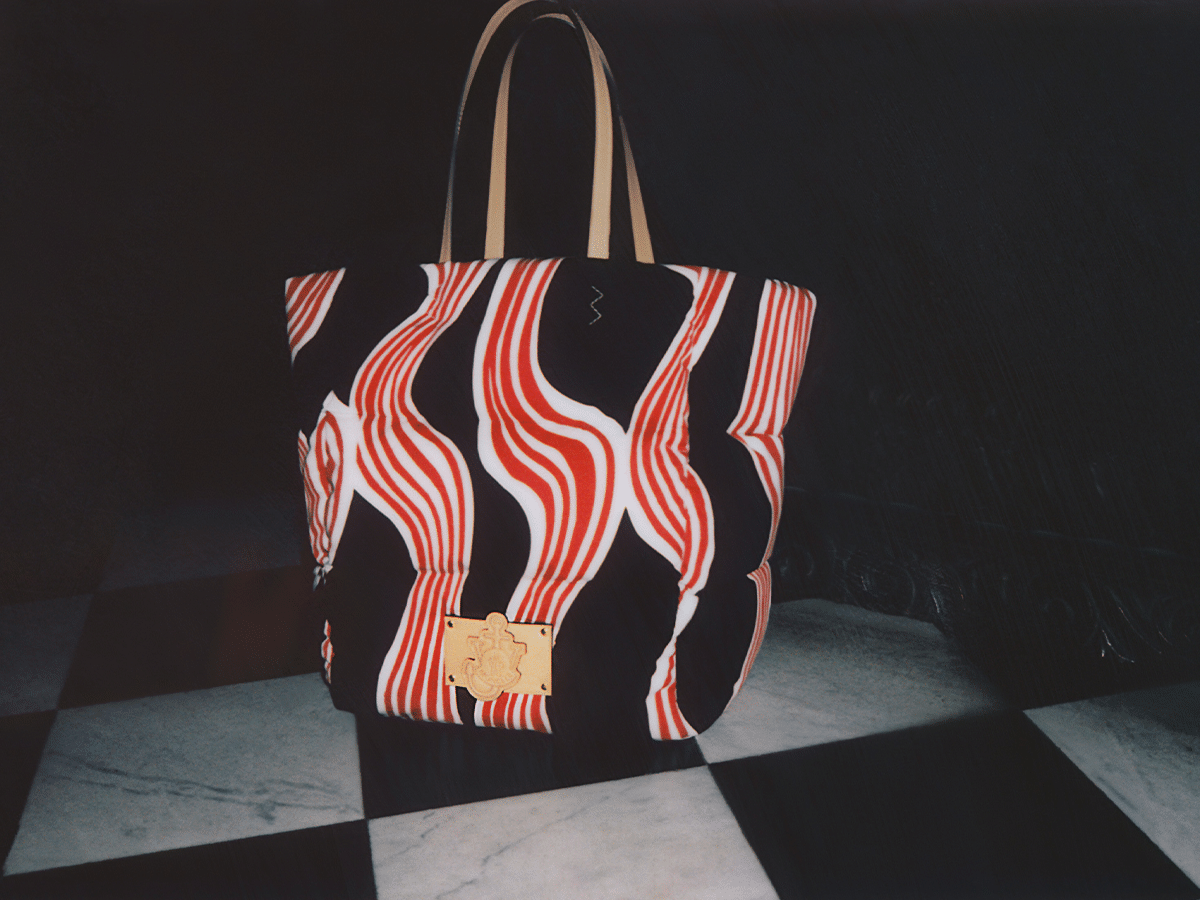 Moncler x jw anderson bag