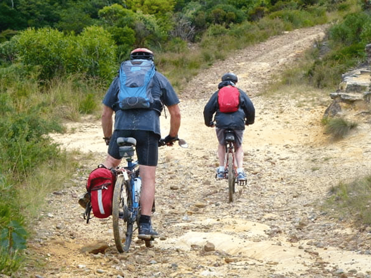 Narrow neck trail blue mountains national park