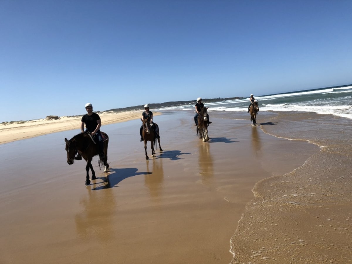 Sahara trails horse riding