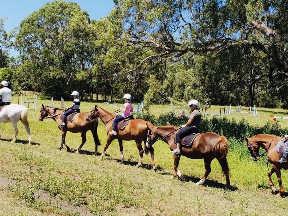 Sydney horse riding centre campbelltown